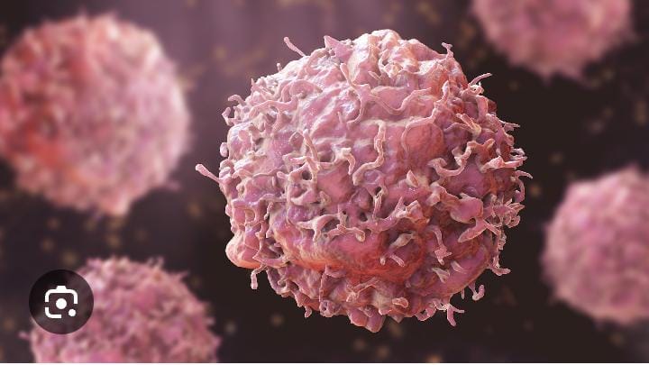 World Cancer Day: Foundation Urges FG To Prioritise Cancer Care For Indigent Women