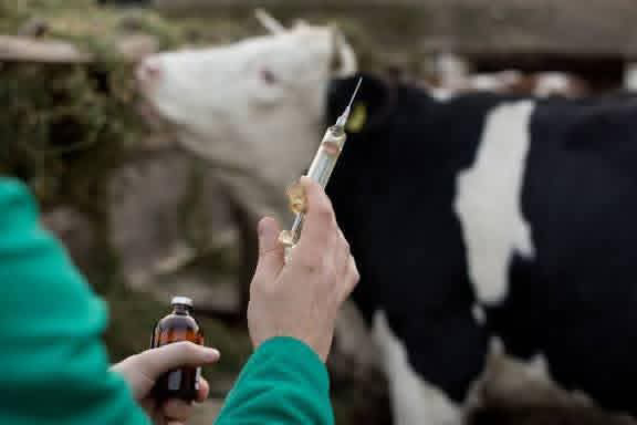 Federal Government Donates Livestock Vaccines To Abia State