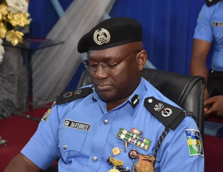 Movement to be restricted 6am–6pm as police deploy for FCT polls