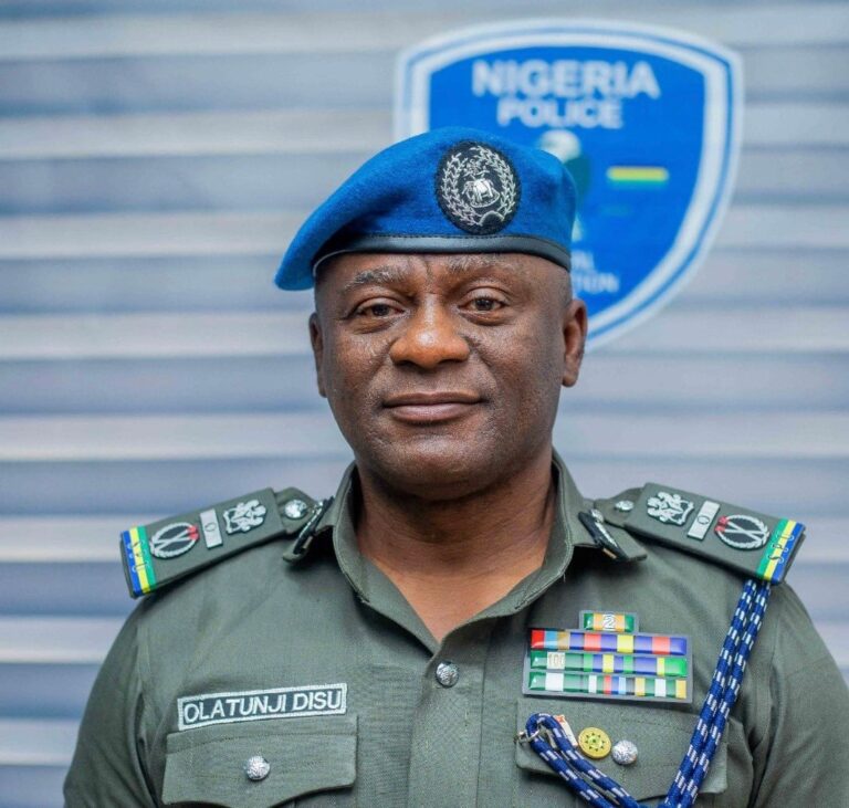 Acting IGP Disu declares end to Police impunity, seeks public trust