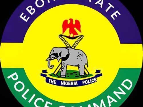 Police Confirm Abduction Of 3 Children In Ebonyi