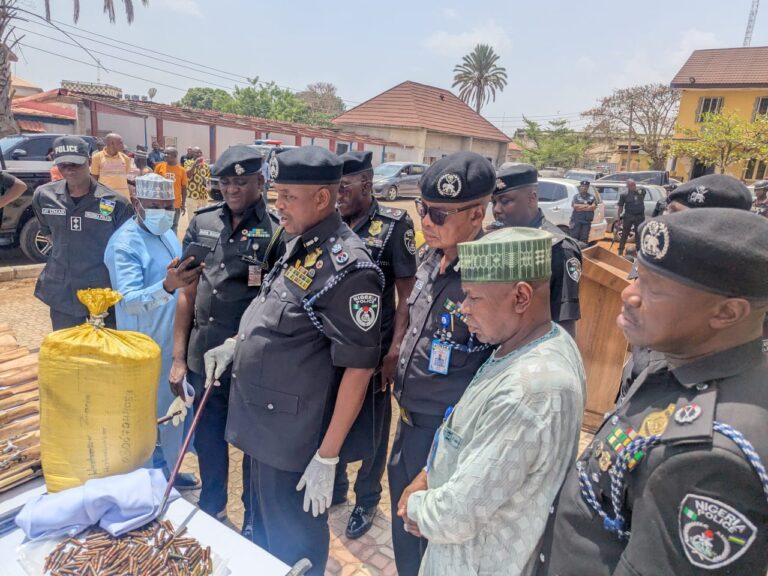 We Won’t Relent Until All Criminal Networks Are Dismantled – Kaduna CP