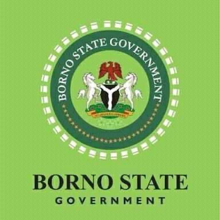 Borno Government Directs Immediate Activation of Prevention Protocols in Schools