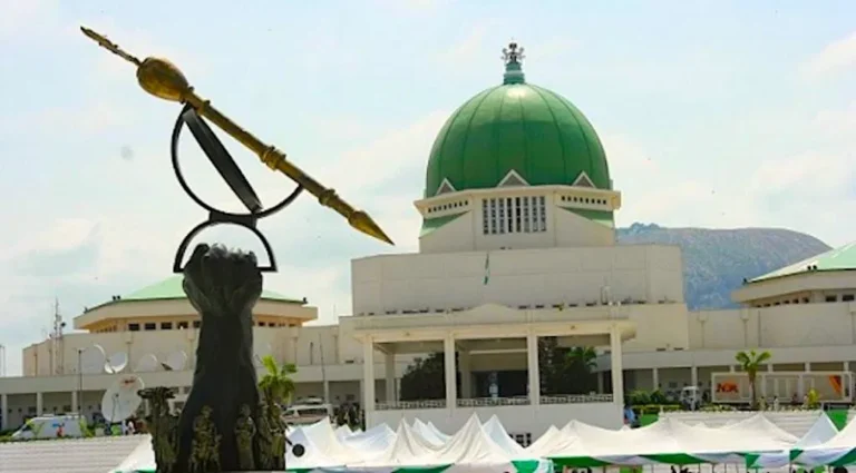 Xenophobic Attacks: Nigeria’s Parliament Suspends Visits to South Africa, Boycotts Legislative Events